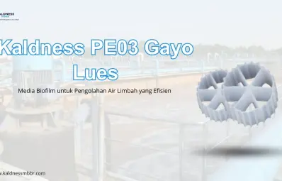 Kaldness PE03 Gayo Lues